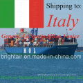 Expedited Sea Shipping Direct Freight Rates Charges Delivery From China to Italy